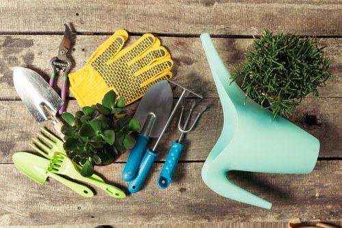 Blackheath tree surgery focused on healthy trees and safe property management
