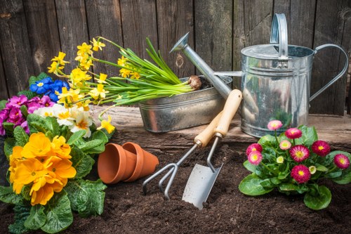 Sustainable tree surgery recycling and waste separation in Blackheath