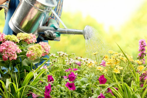 Professional pruning service by a Blackheath arborist