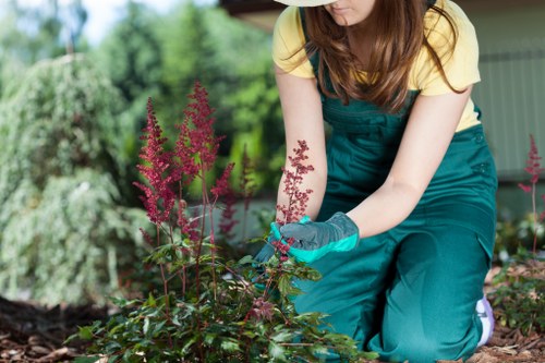 Final legal terms page for a tree surgery service