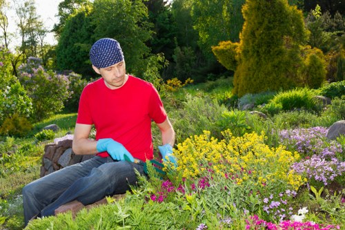 Final review of a tree surgery complaint case