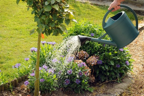 Professional tree maintenance for a commercial property near Blackheath
