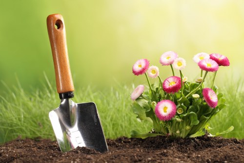 Tree inspection services for Blackheath homes and commercial premises